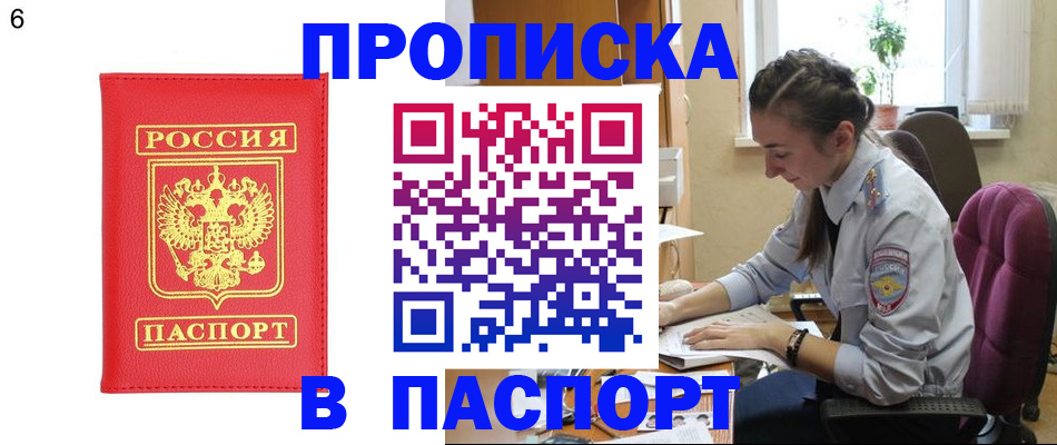 прописка гарантия в Зеленогорске
